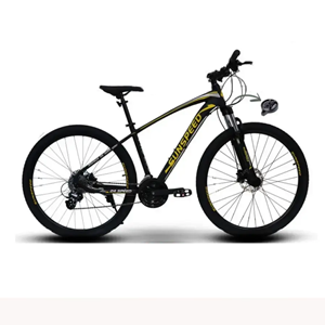 دوچرخه کوهستانی سان اسپید SUNSPEED کد 2902 مدل PRO 200 سایز 29-اسباب بازی